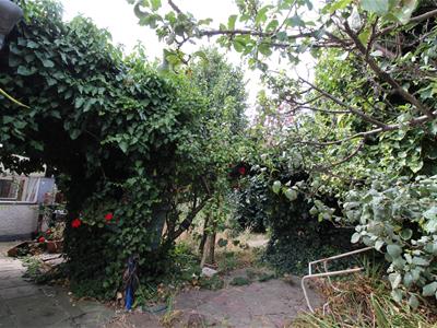 Picture 2
